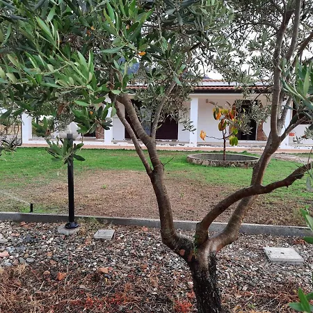 Villa Vacanze Is Carcuris