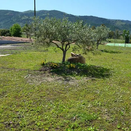 Vacanze Is Carcuris Villa