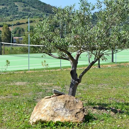Vacanze Is Carcuris *
